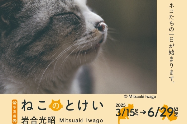 新着情報のイメージ