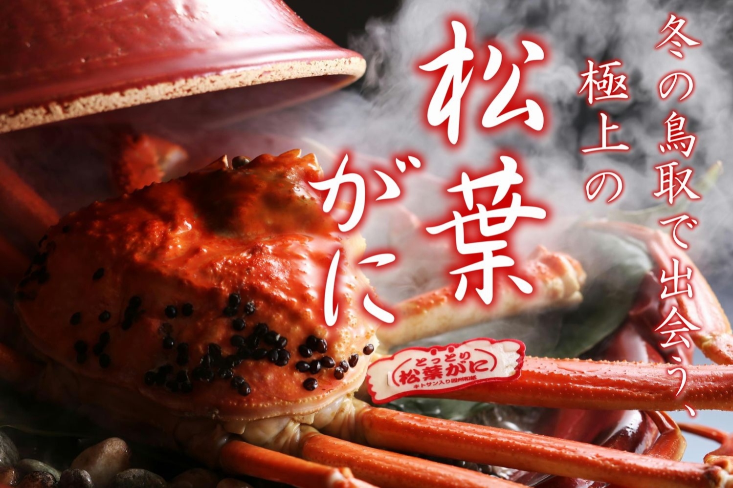 新着情報のイメージ