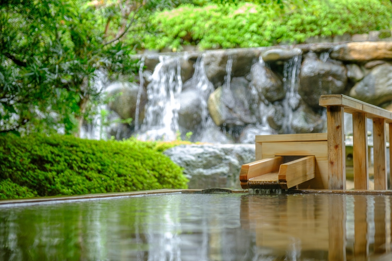 新着情報のイメージ