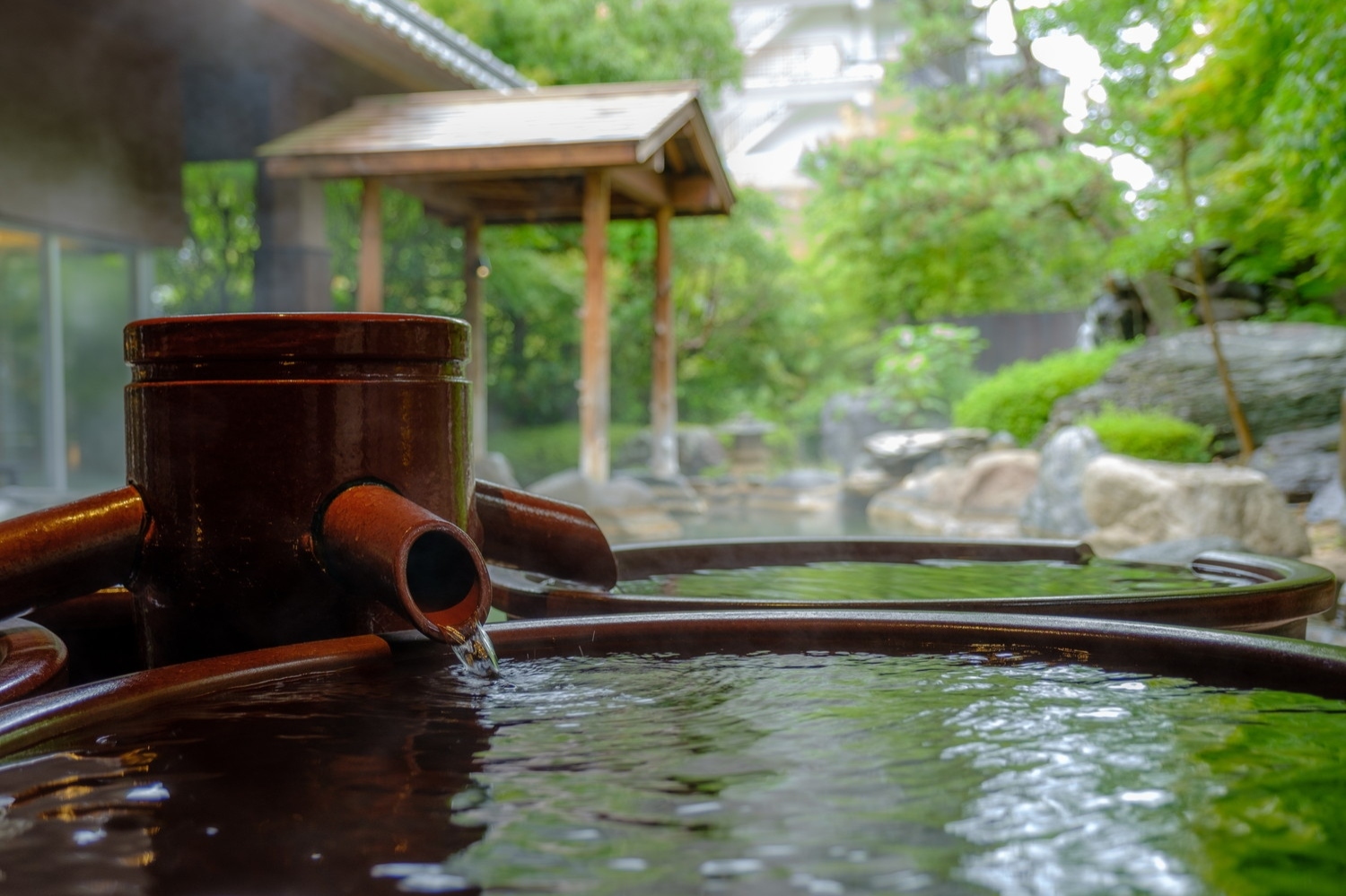 新着情報のイメージ