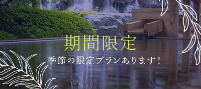 期間限定プラン 季節の限定プランあります！