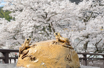鳥取・山陰の風景イメージ